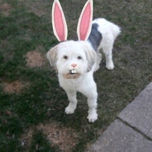 Meet your Posher, Alexis